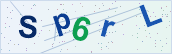 Security characters to type