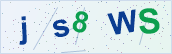 Security characters to type