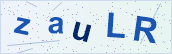 Security characters to type